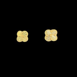 2,5g 1cm S
